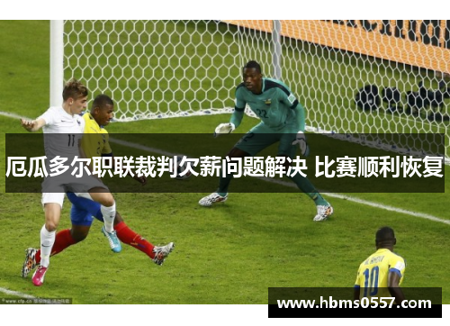 厄瓜多尔职联裁判欠薪问题解决 比赛顺利恢复 厄瓜多尔职联裁判欠薪问题解决 比赛顺利恢复